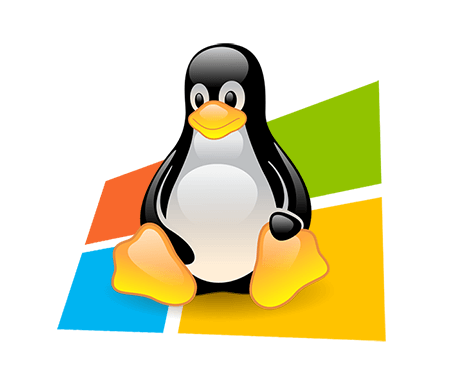 Windows vs. Linux